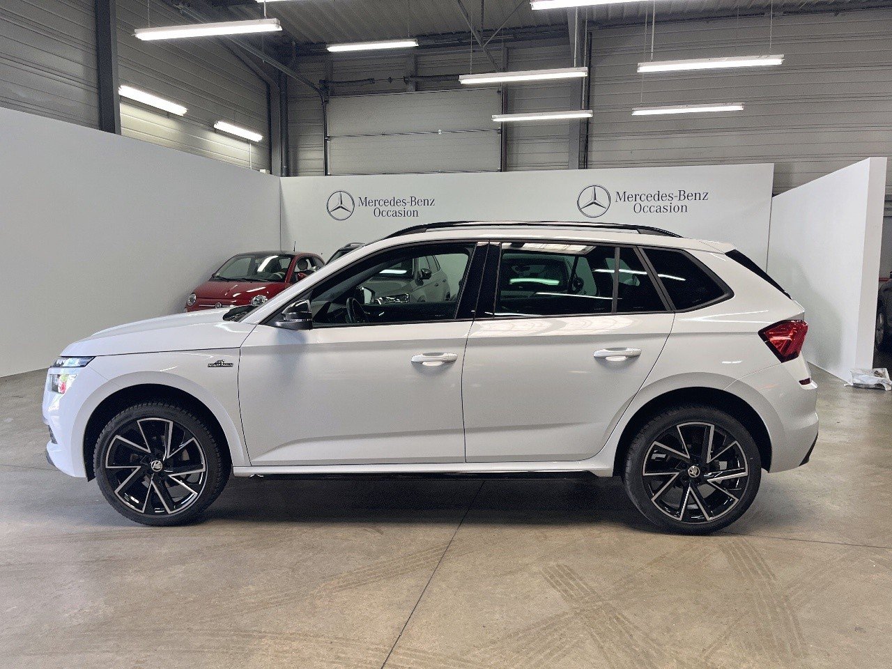 skoda - Visuel 1