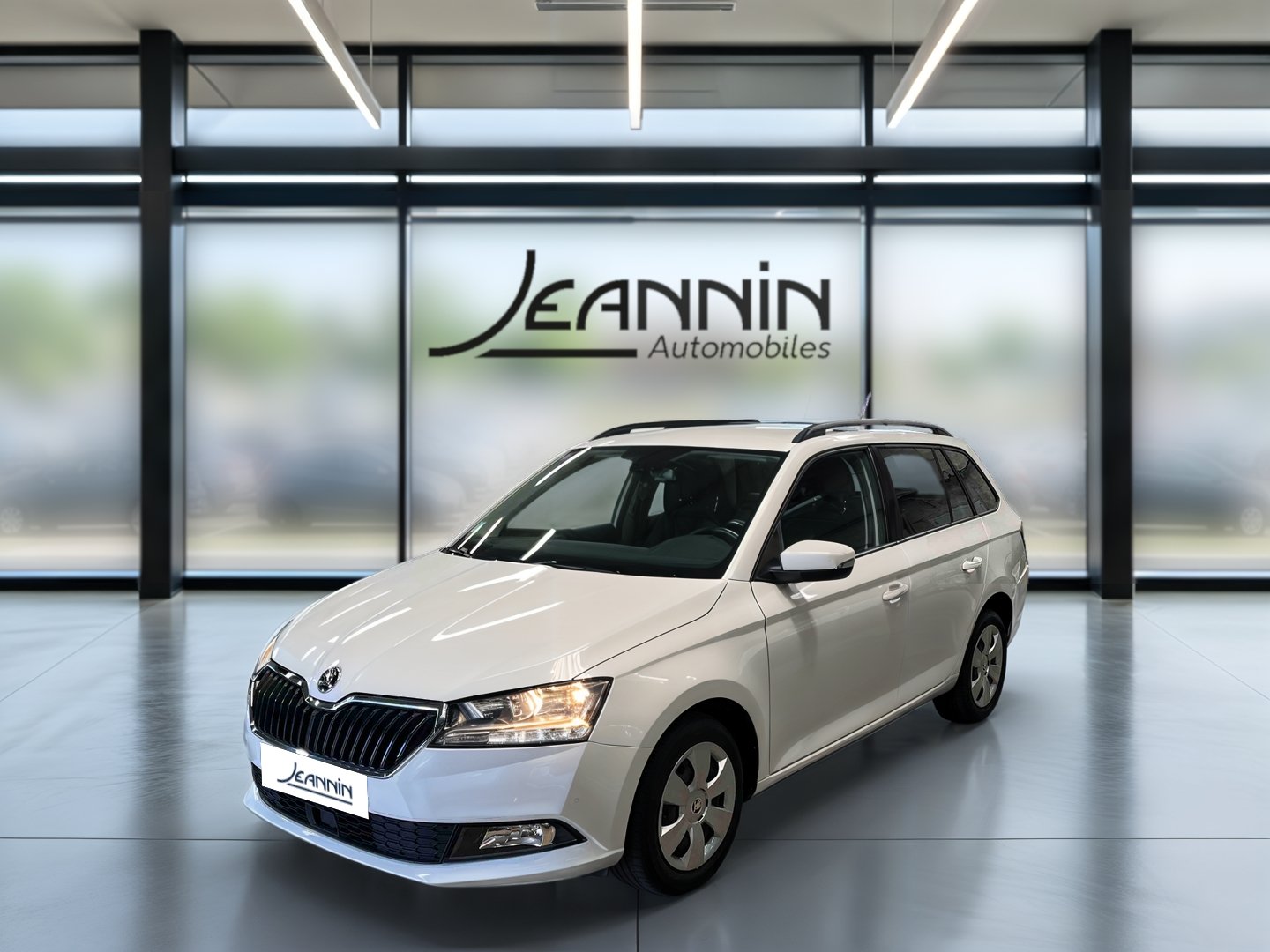 skoda - Visuel 0
