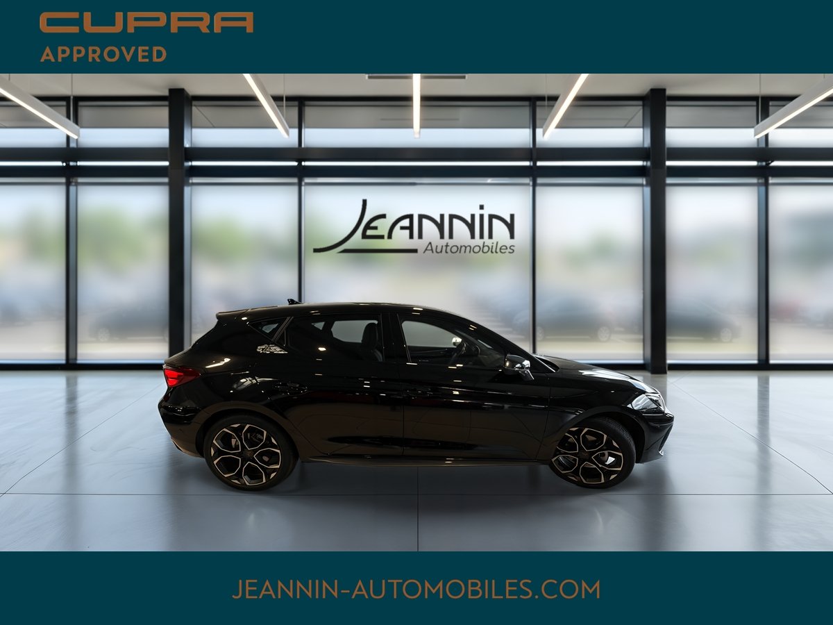 seat - Visuel 5