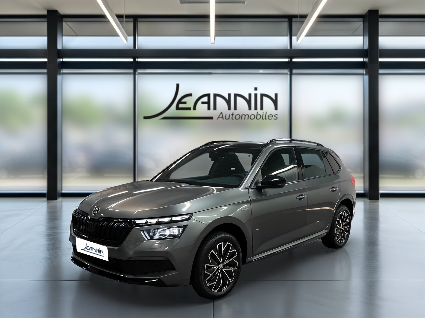 skoda - Visuel 0