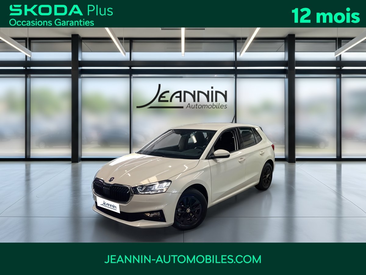 skoda - Visuel 0