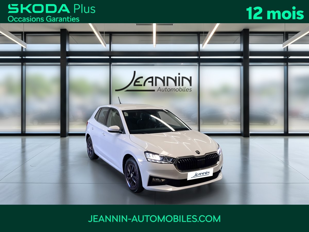skoda - Visuel 6