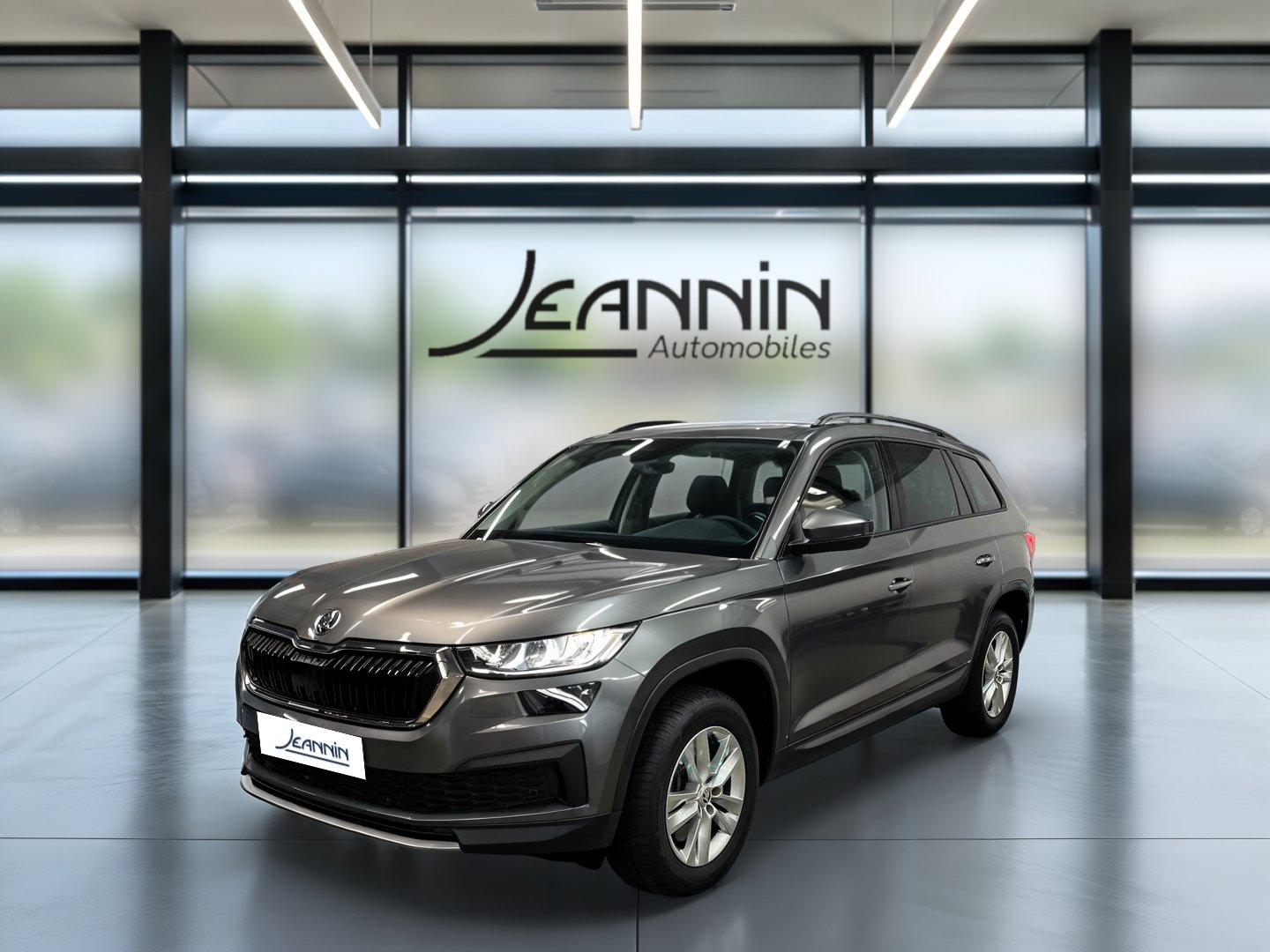 skoda - Visuel 0