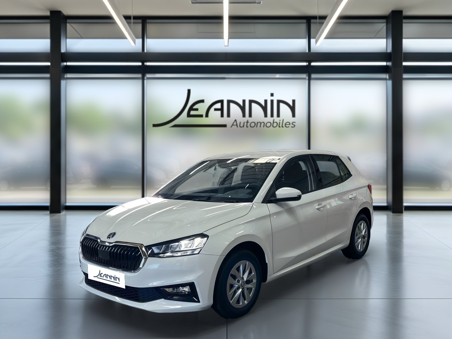 skoda - Visuel 0