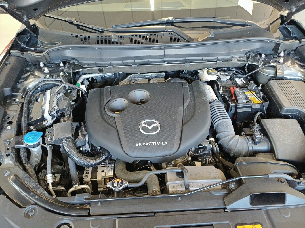 mazda - Visuel 20