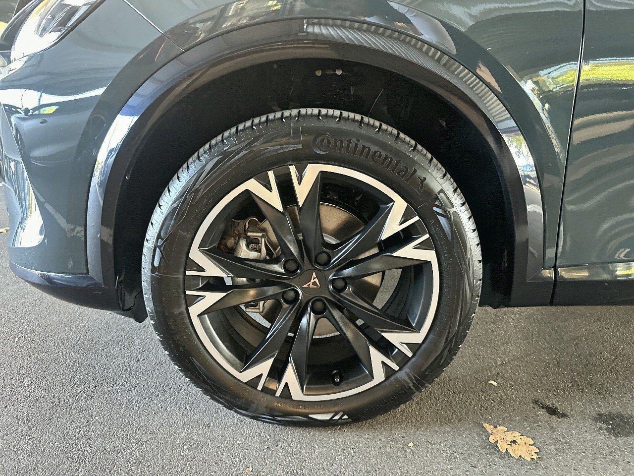 seat - Visuel 8
