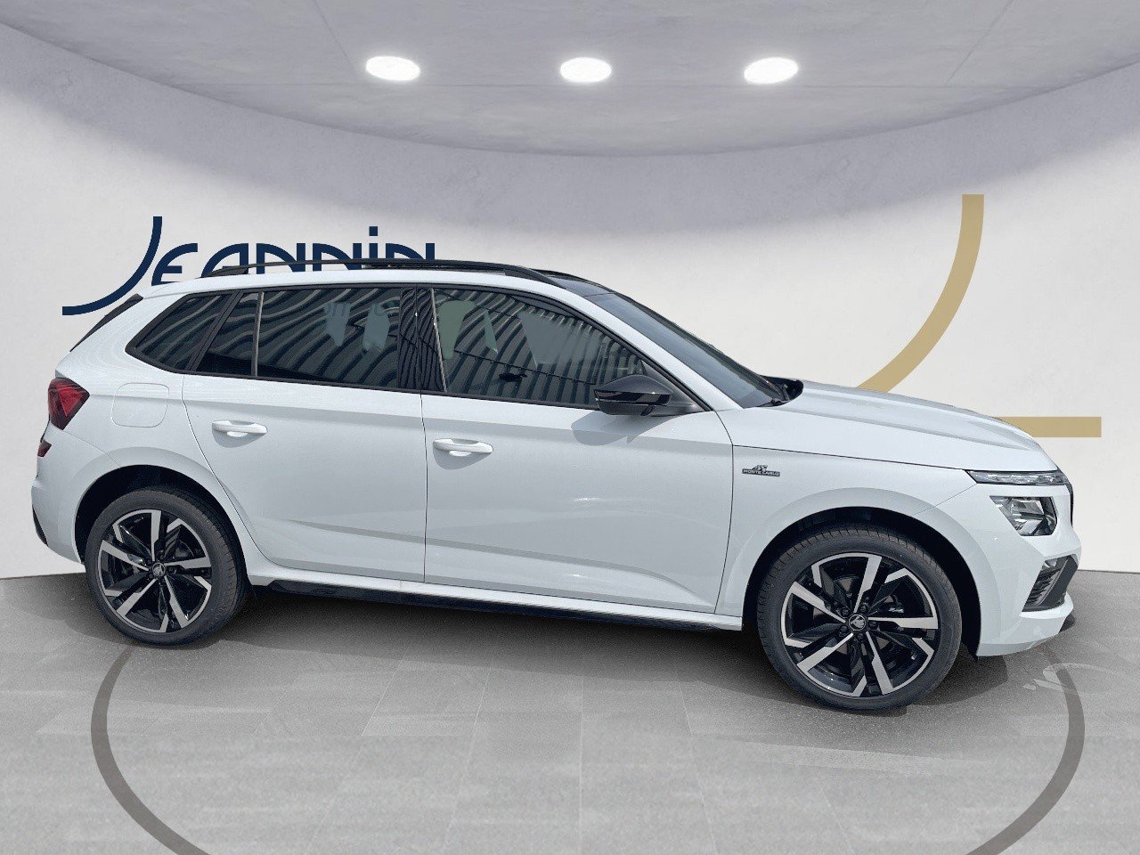skoda - Visuel 5
