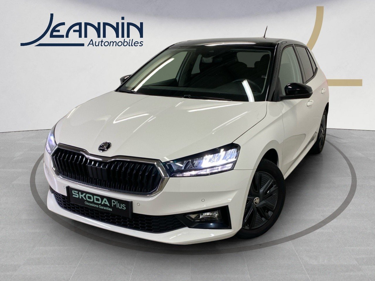 skoda - Visuel 0