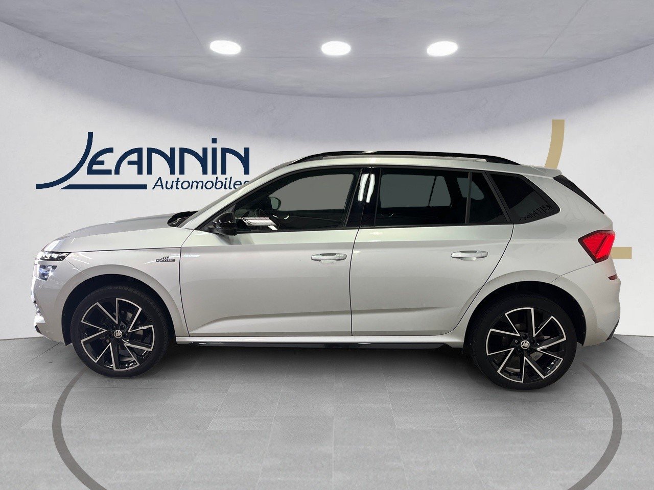 skoda - Visuel 1