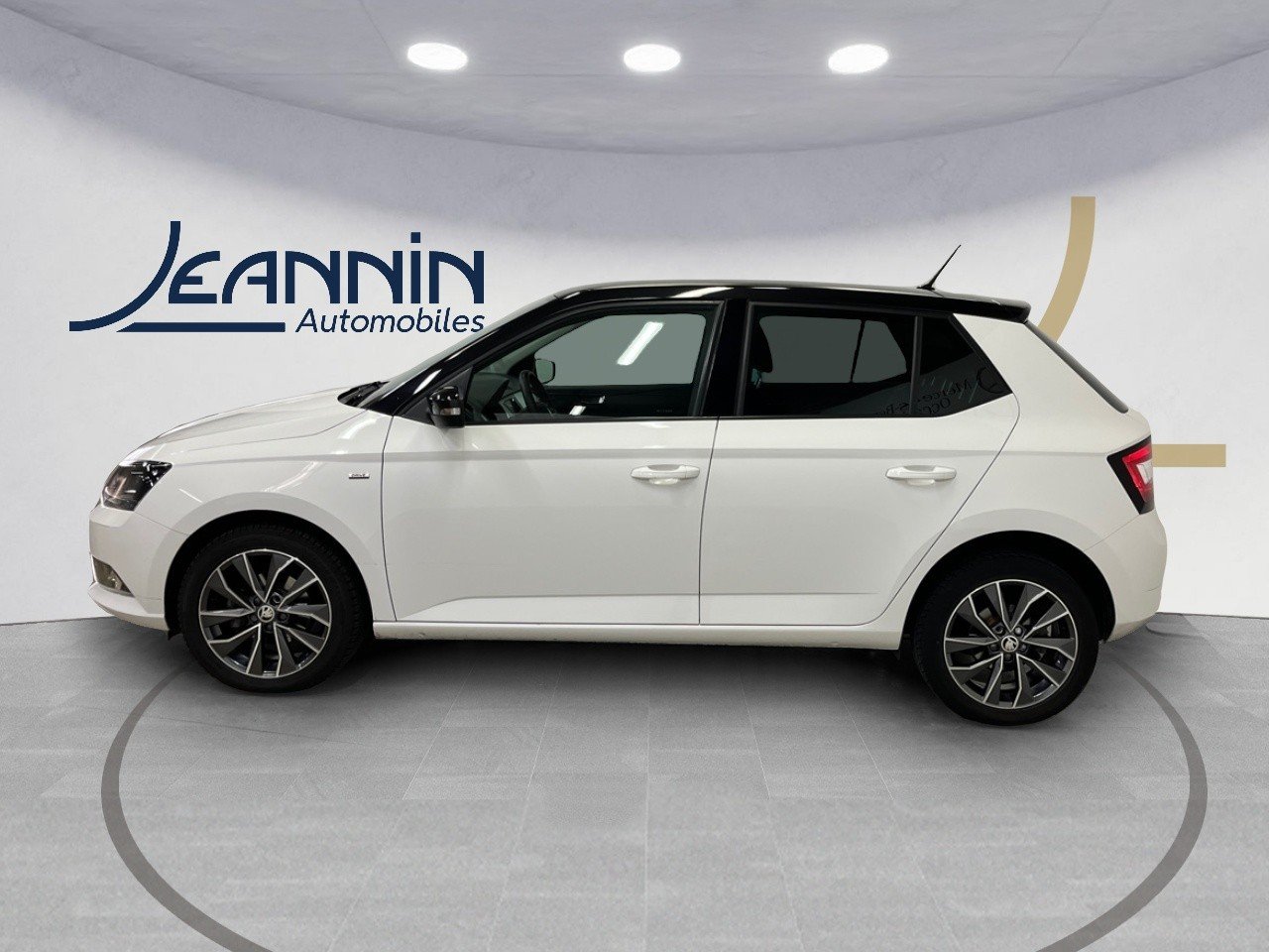 skoda - Visuel 1