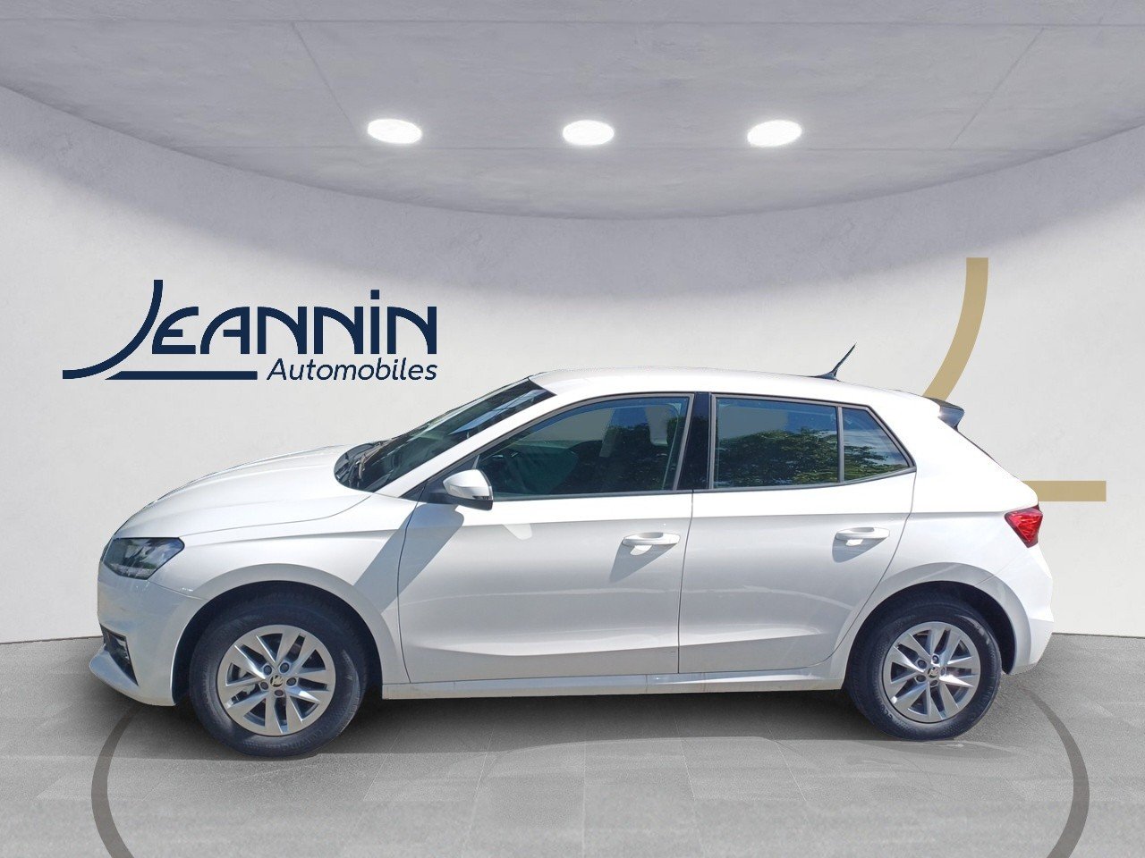skoda - Visuel 1