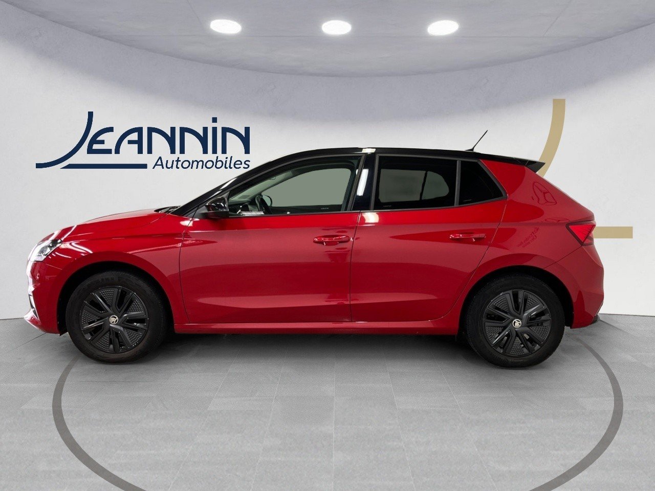 skoda - Visuel 1