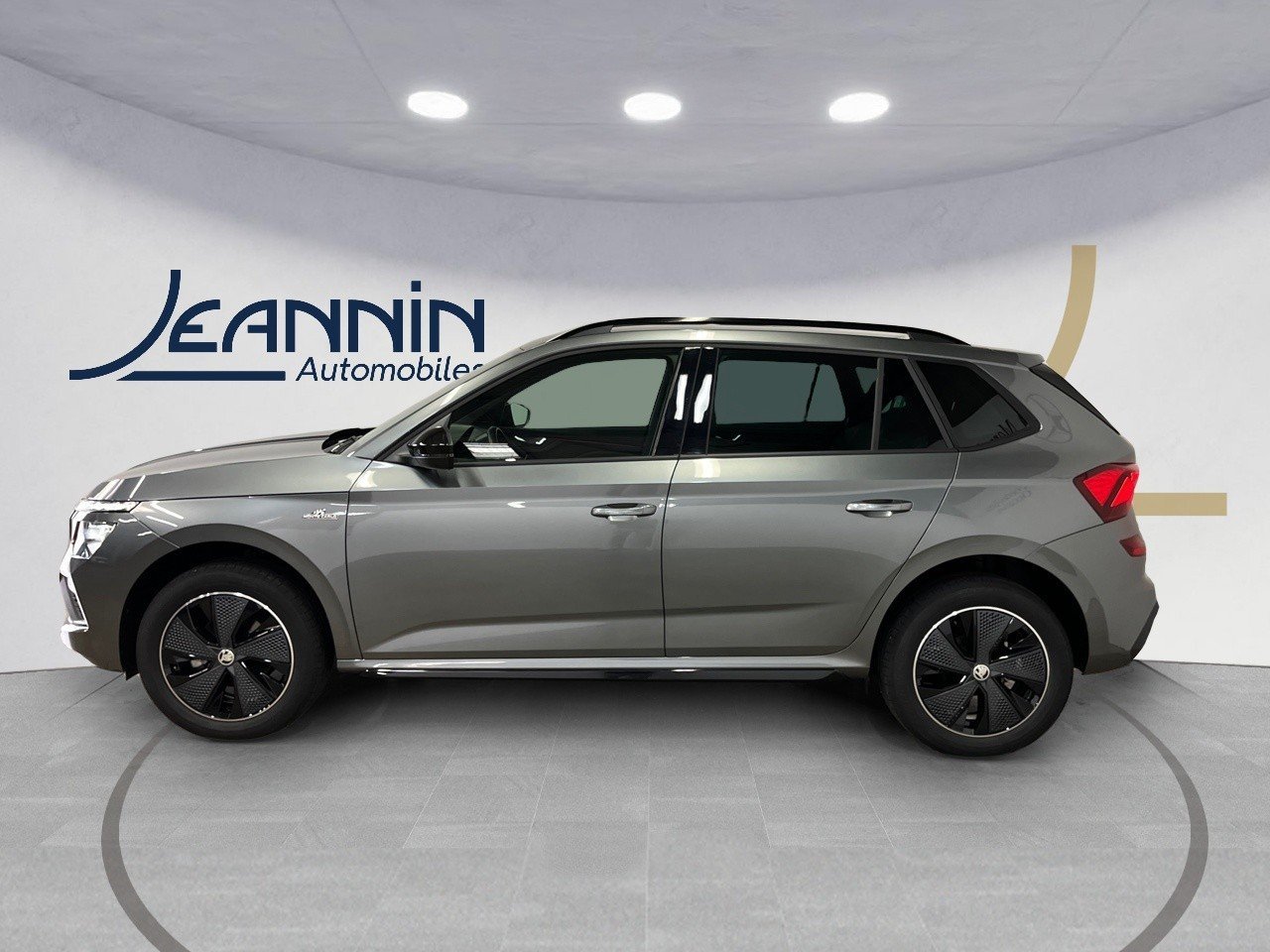 skoda - Visuel 1