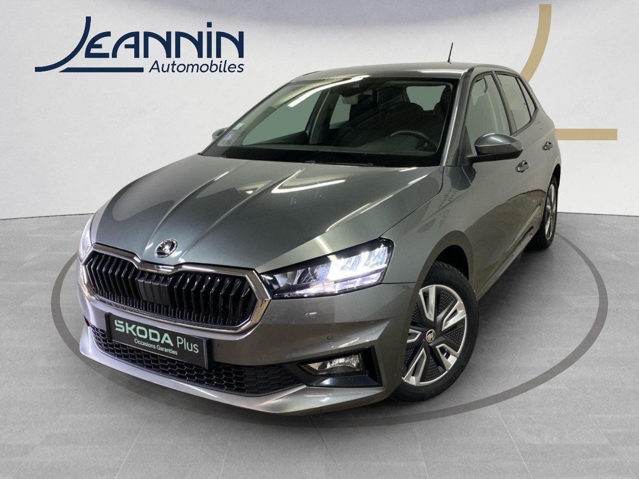 skoda - Visuel 0