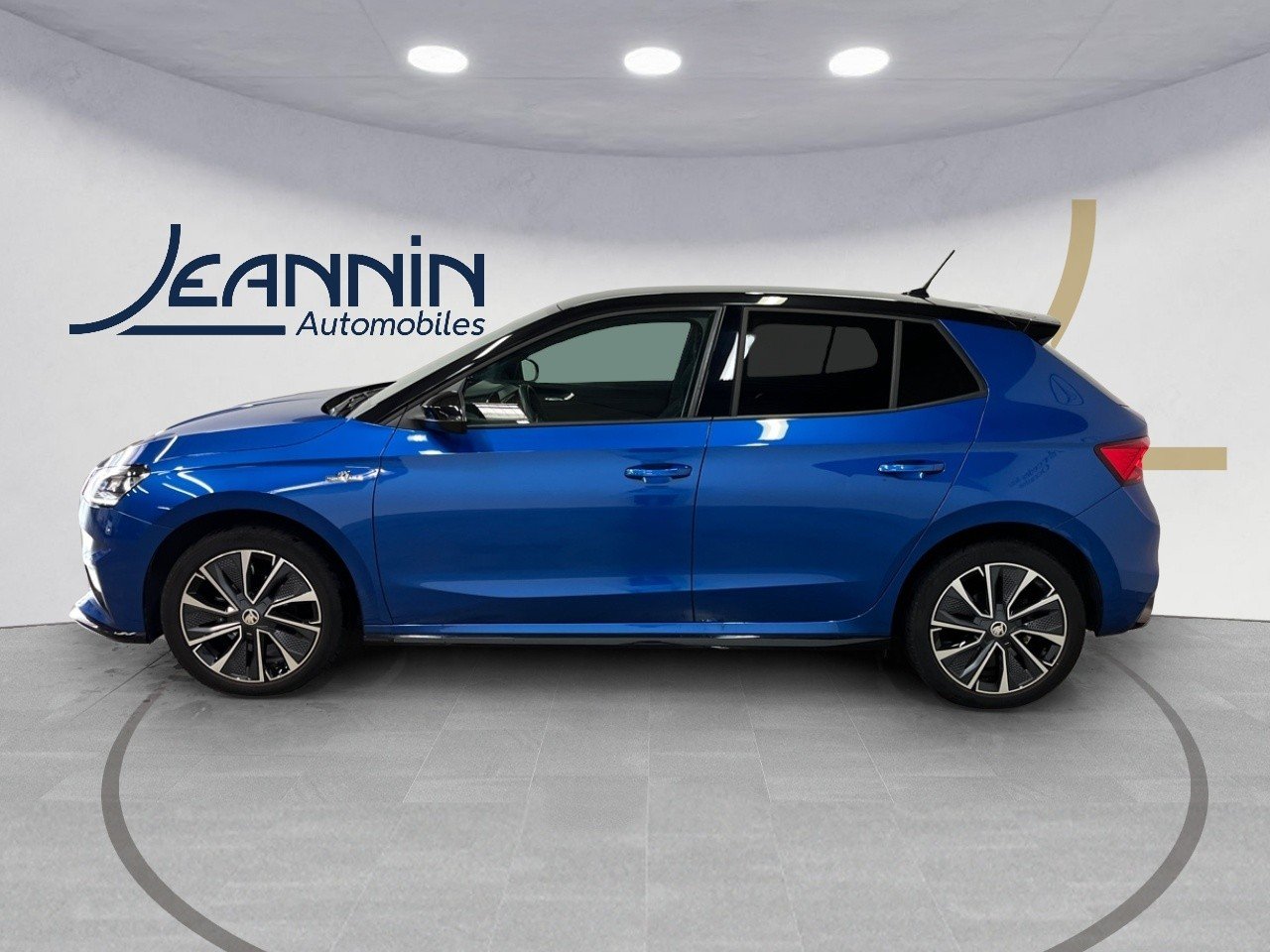 skoda - Visuel 1