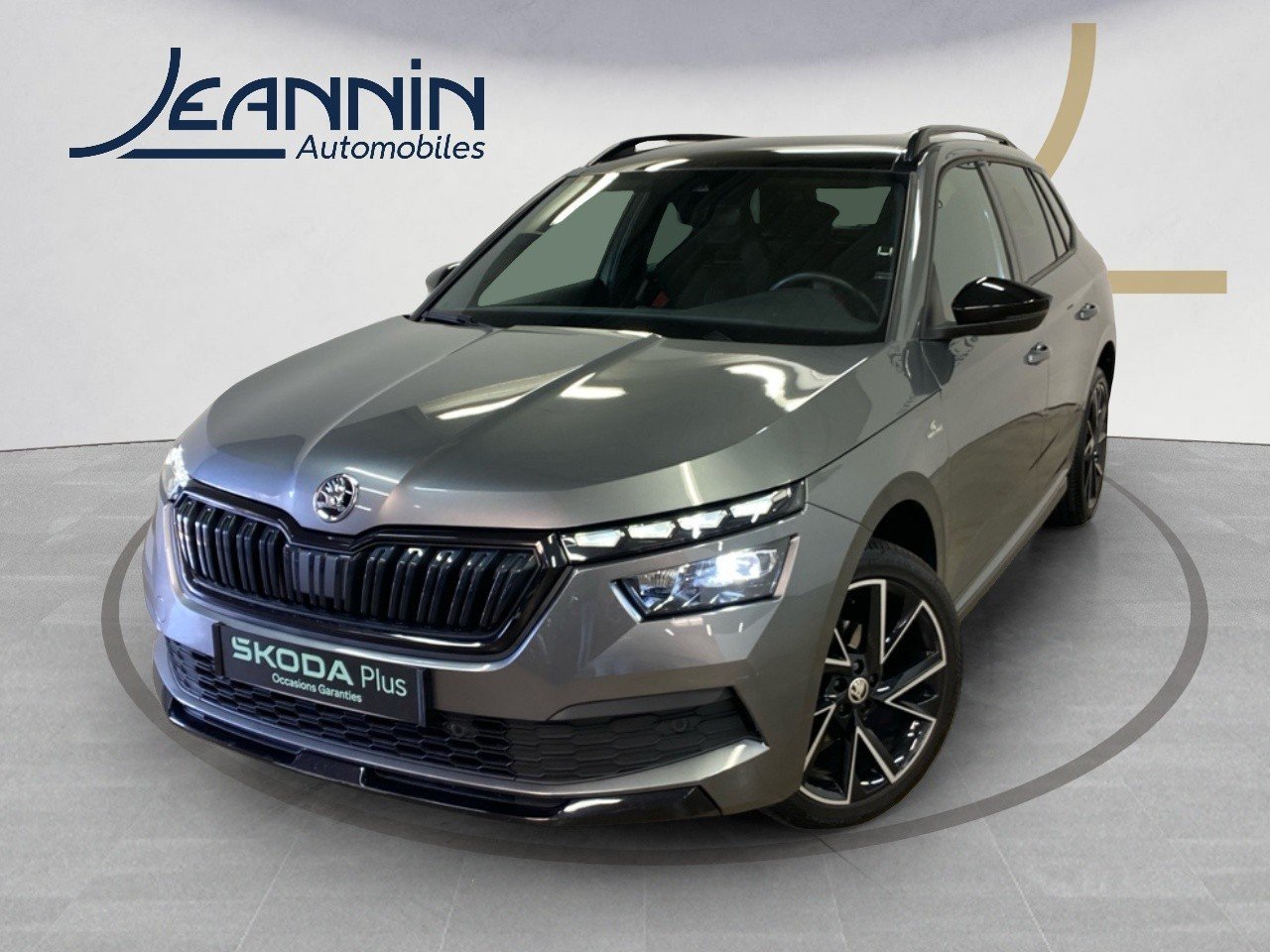 skoda - Visuel 0