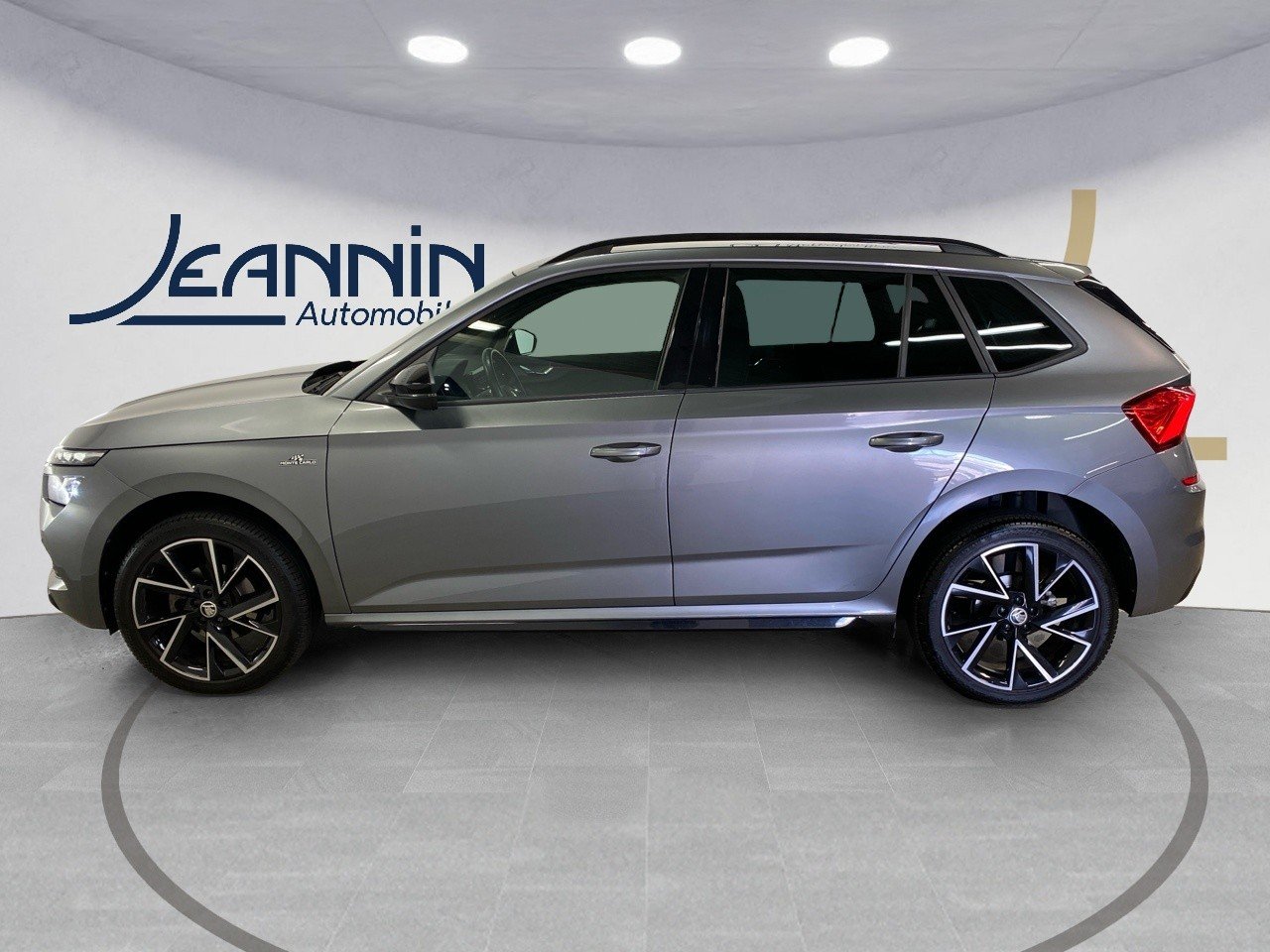 skoda - Visuel 1