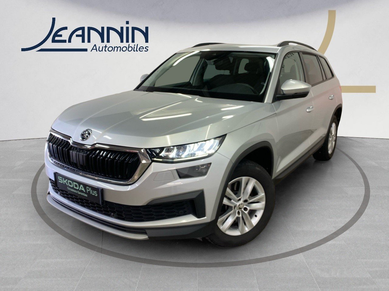 skoda - Visuel 0