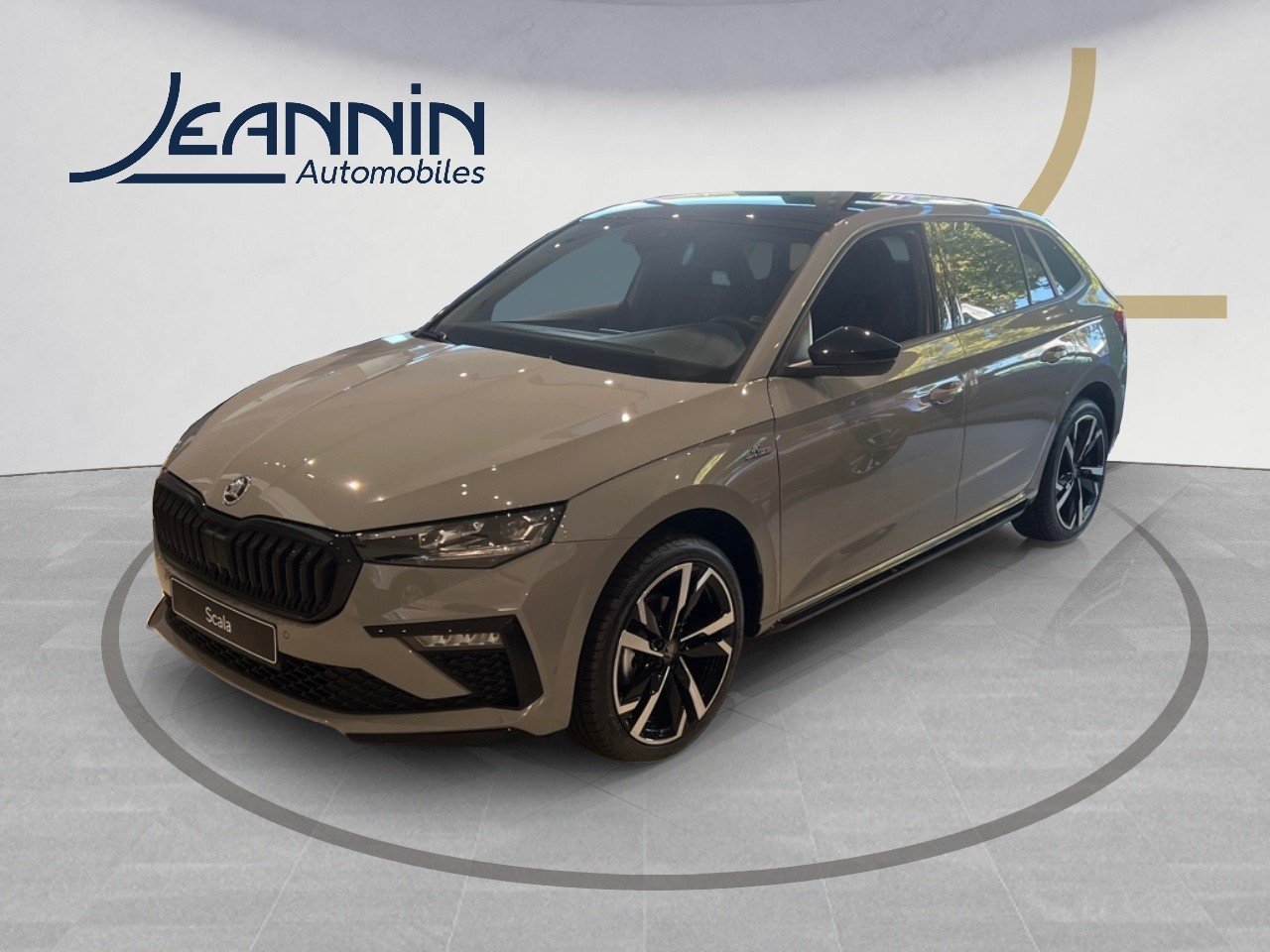 skoda - Visuel 0