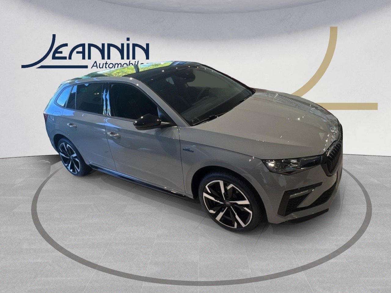 skoda - Visuel 5