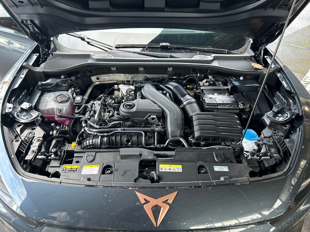seat - Visuel 26