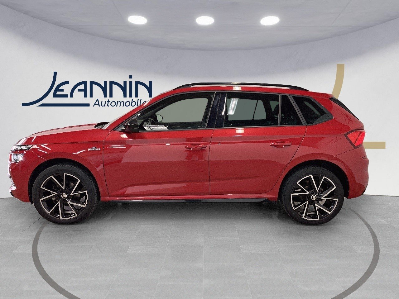 skoda - Visuel 1