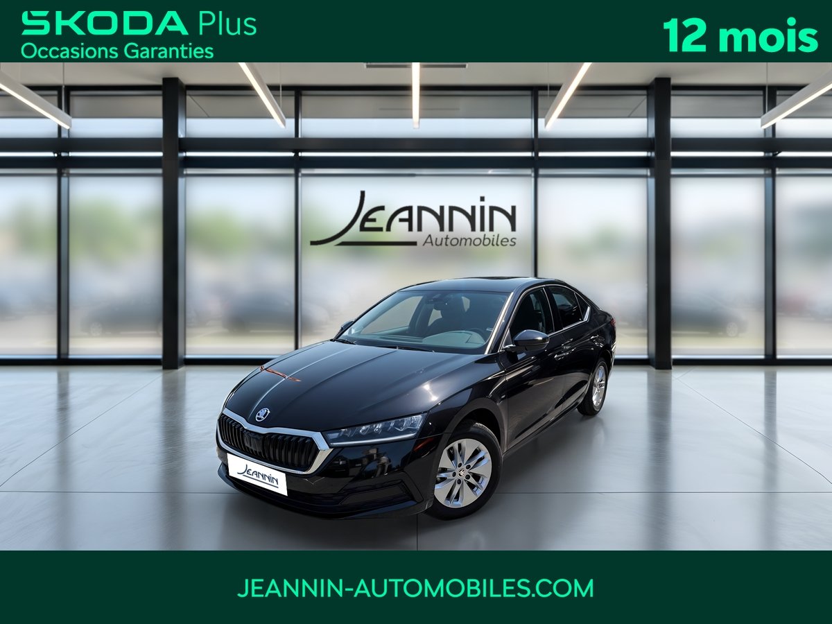 skoda - Visuel 0