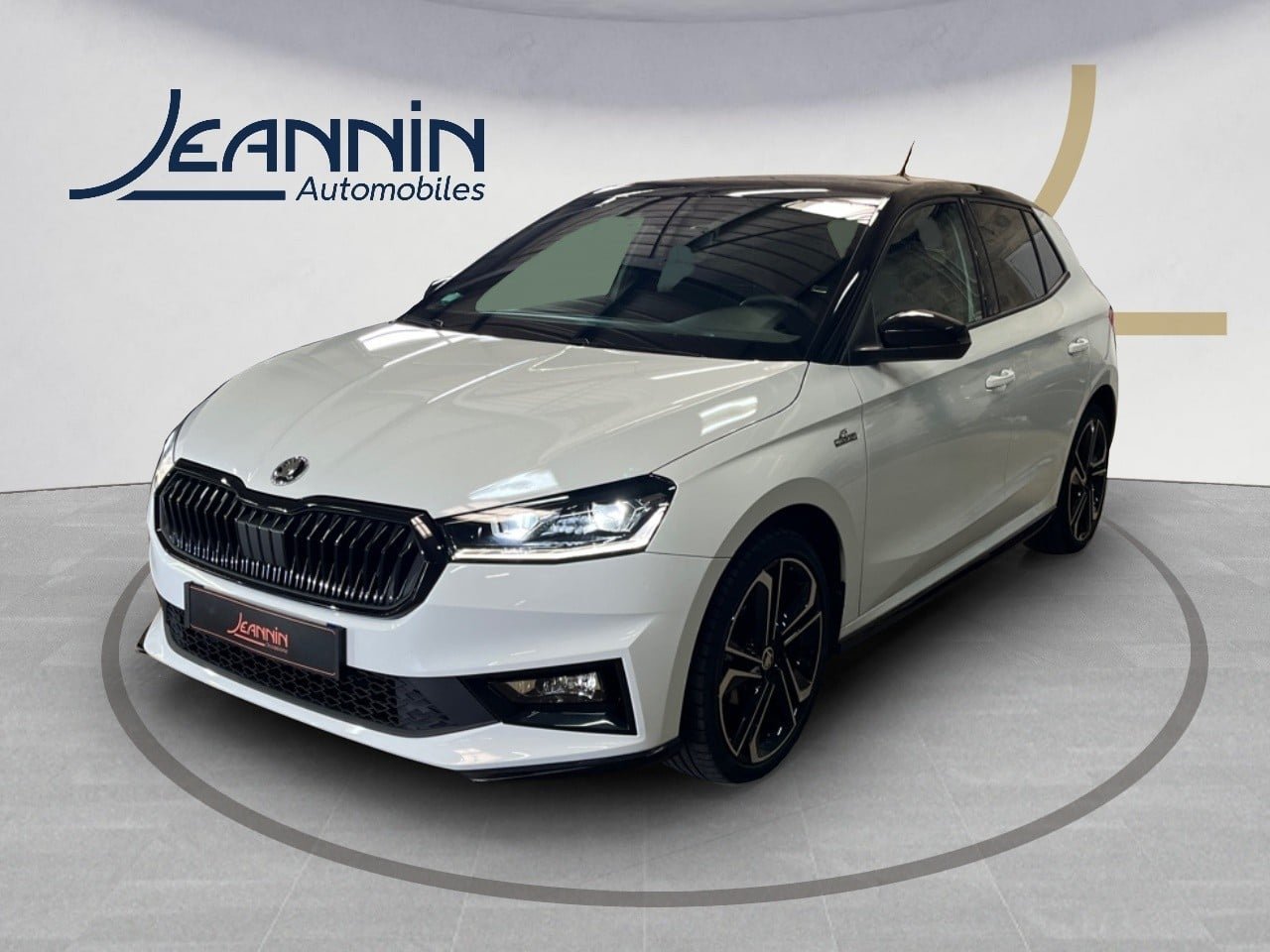 skoda - Visuel 0