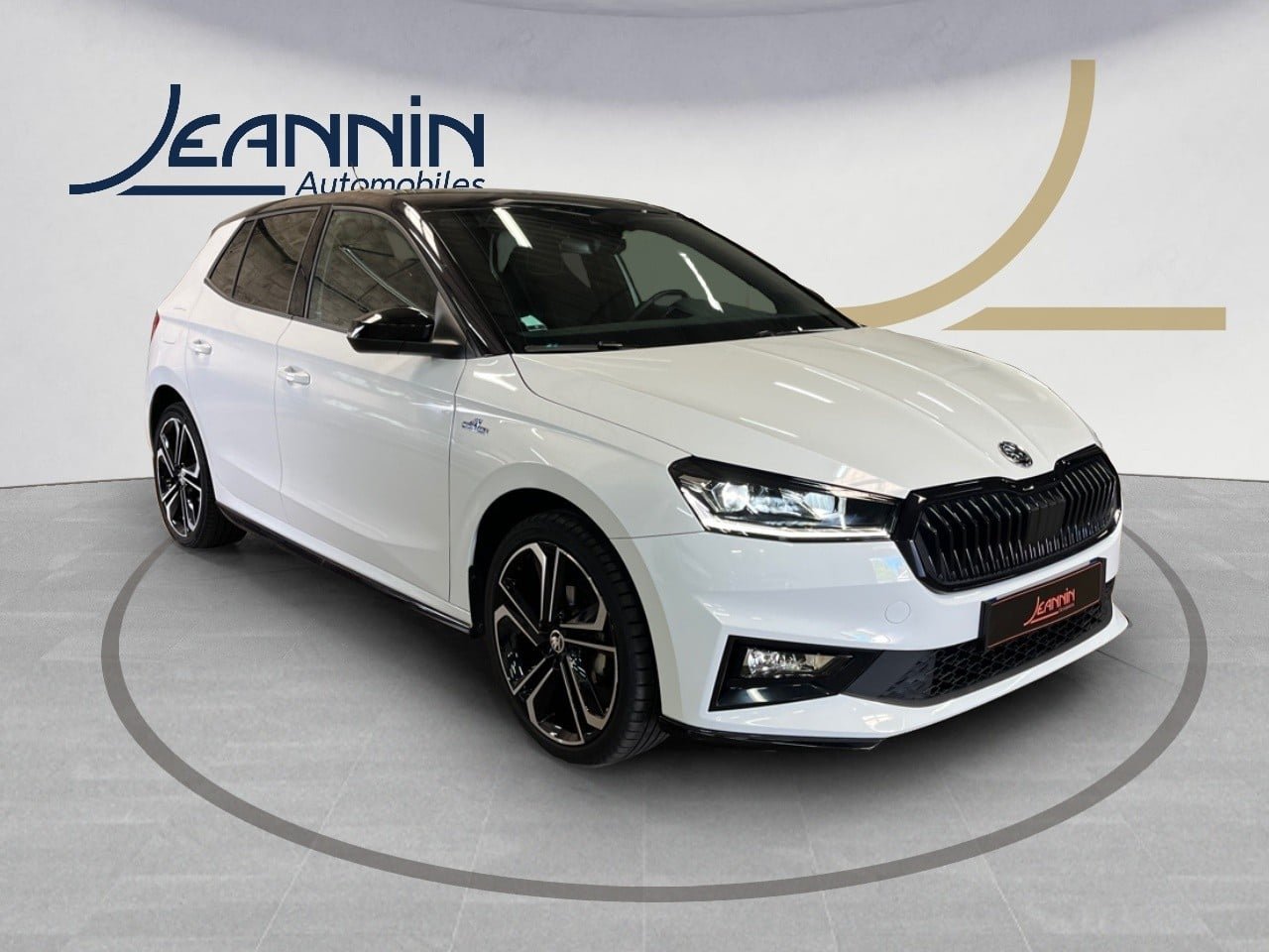 skoda - Visuel 6